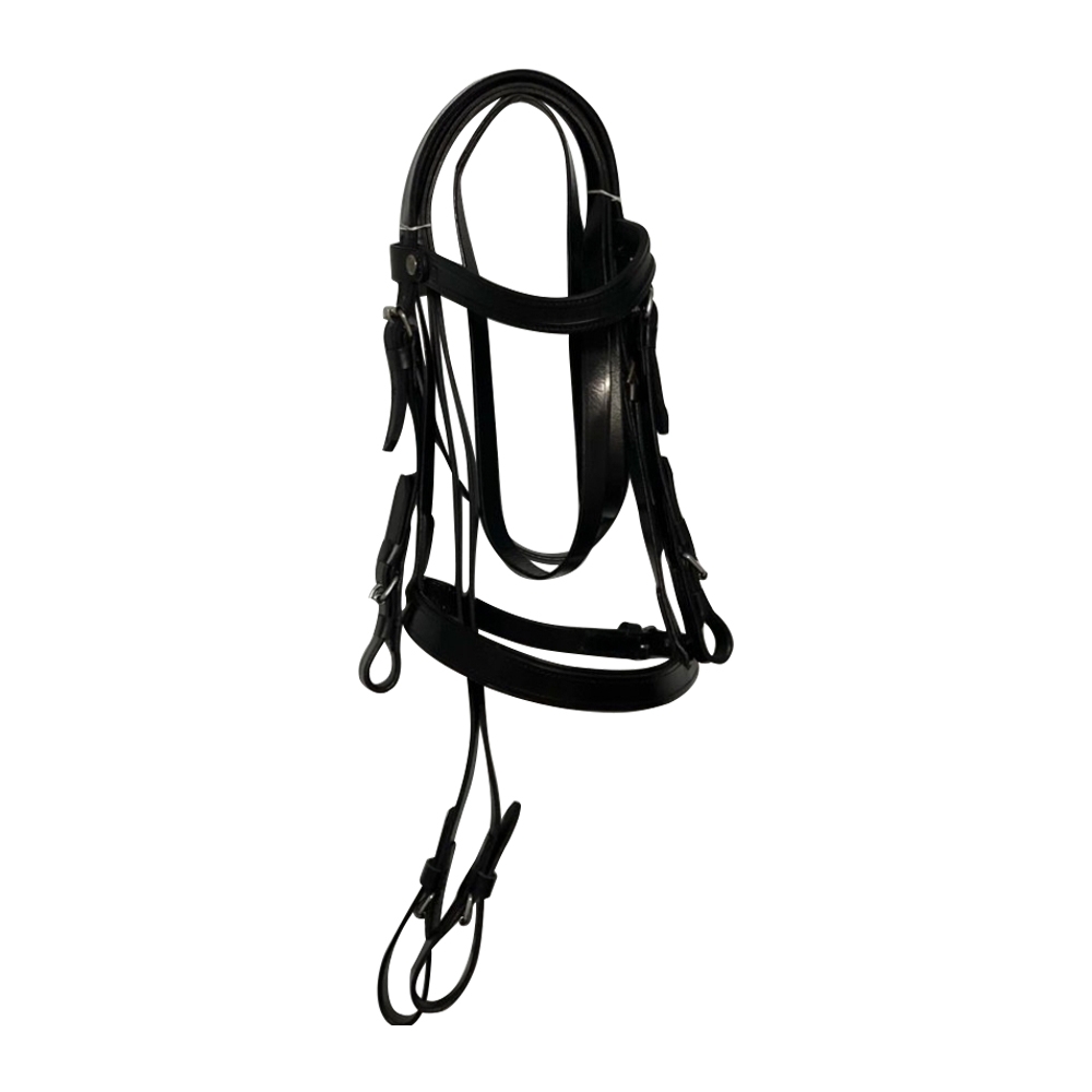 Bridles