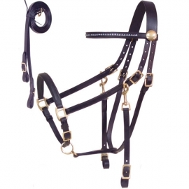 Bridles