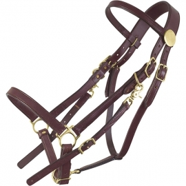 Bridles