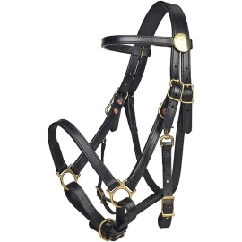 Bridles