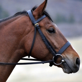 Bridles