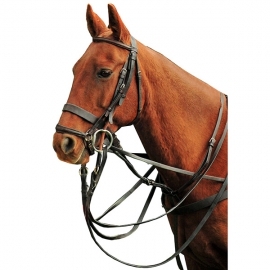 Bridles